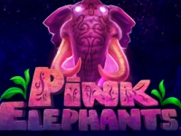 Pink Elephants