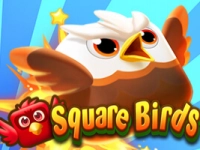 Square Birds