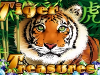 Tiger Treasures