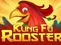 Kung Fu Rooster