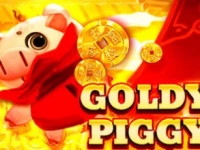 Goldy Piggy