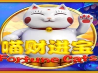 Fortune Cats