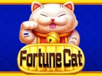 Fortune Cat