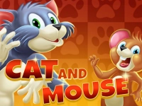 Cat and Mouse