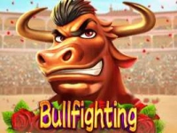 Bullfighting