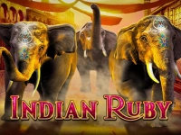 Indian Ruby