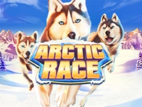 Arctic Race