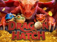 Dragon Hatch