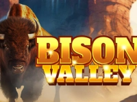 Bison Valley