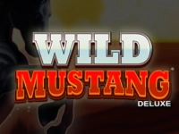 Wild Mustang