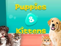 Puppies & Kittens