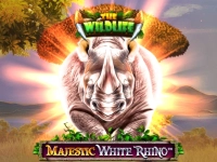 Majestic White Rhino