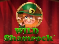 Wild Shamrock