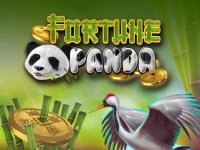 Fortune Panda