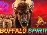 Buffalo Spirit 3x3