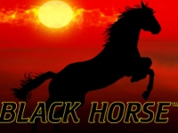 Black Horse