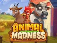 Animal Madness