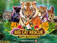 Big Cat Rescue Megaways