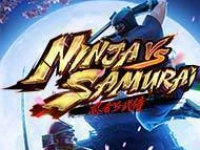 Ninja vs Samurai