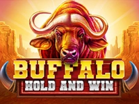 Buffalo Hold and Win