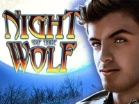 Night of the Wolf