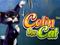 Colin The Cat