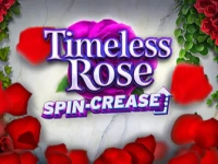 Timeless Rose