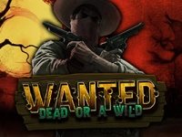 Wanted Dead or a Wild