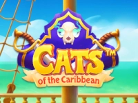 Cats of the Caribbean